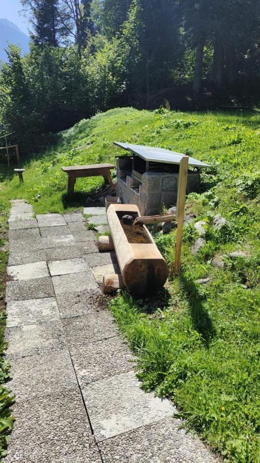 Sasso Rosso Apartment Folgarida Kültér fotó